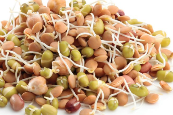 स्वास्थ्य और प्रतिरक्षा(Health With Immunity)