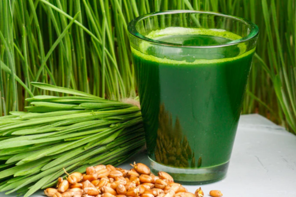 स्वास्थ्य और प्रतिरक्षा(Health With Immunity)